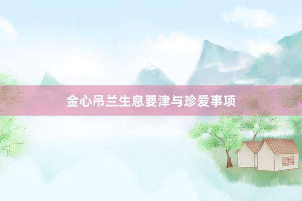 金心吊兰生息要津与珍爱事项
