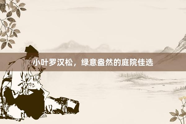 小叶罗汉松，绿意盎然的庭院佳选