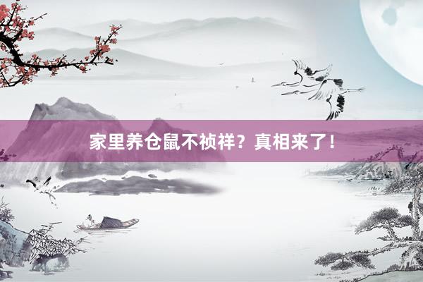 家里养仓鼠不祯祥？真相来了！
